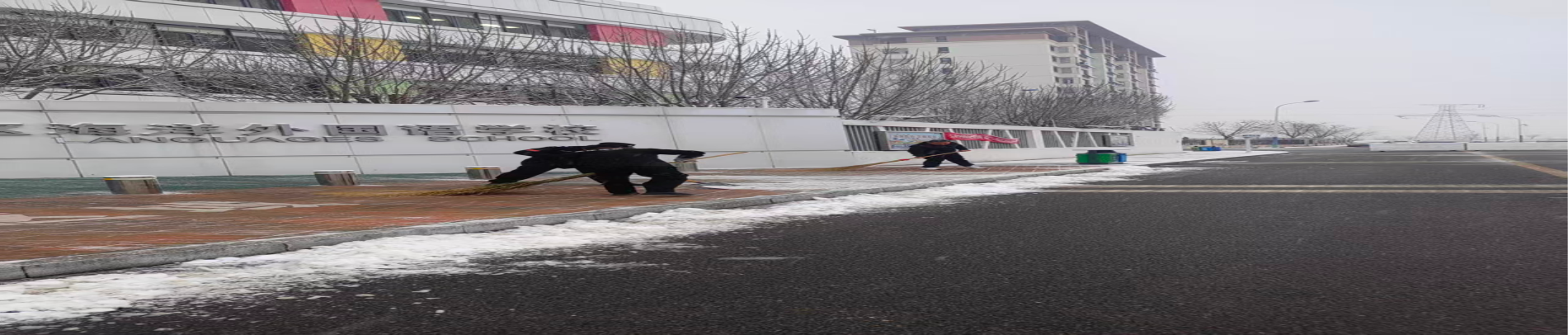 闻雪而动 保障安全--滨海高新区物业公司迅速组织开展清融雪工作